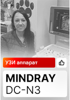 Отзыв на УЗИ аппарат Mindray DC-N3 (г. Ноябрьск)
