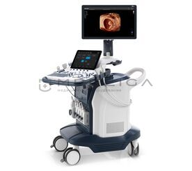 SonoScape S60 Exp, Сегмент: Государственный