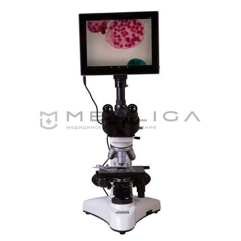 Levenhuk MED D25T LCD, 3