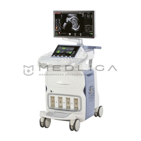 GE Healthcare Voluson E10