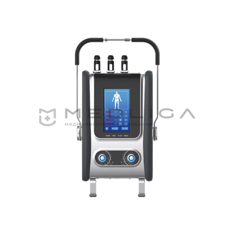 STEINMANN VESERIUS, 2