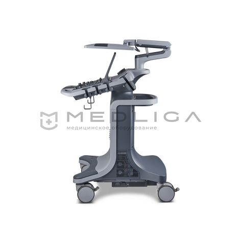 Edan Acclarix LX85, 5